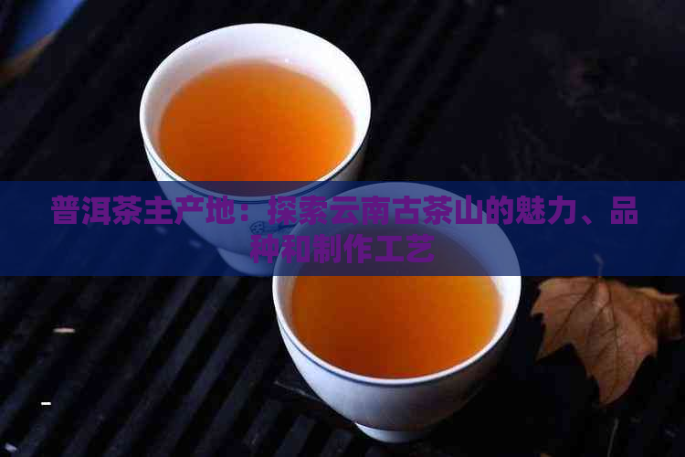 普洱茶主产地：探索云南古茶山的魅力、品种和制作工艺