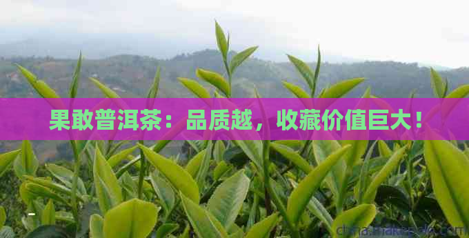 果敢普洱茶：品质越，收藏价值巨大！