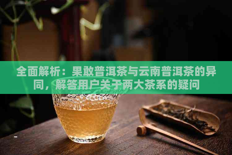 全面解析：果敢普洱茶与云南普洱茶的异同，解答用户关于两大茶系的疑问