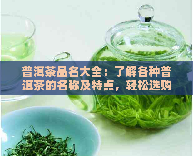 普洱茶品名大全：了解各种普洱茶的名称及特点，轻松选购适合自己的好茶