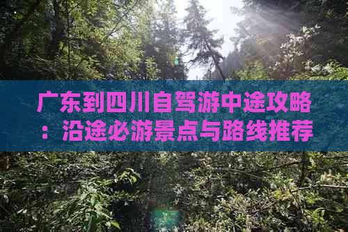 广东到四川自驾游中途攻略：沿途必游景点与路线推荐