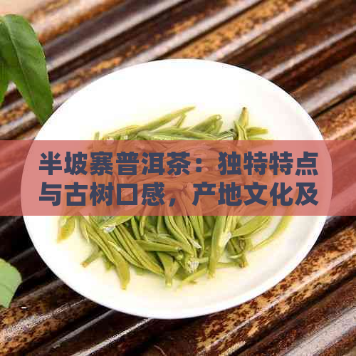 半坡寨普洱茶：独特特点与古树口感，产地文化及价格一览