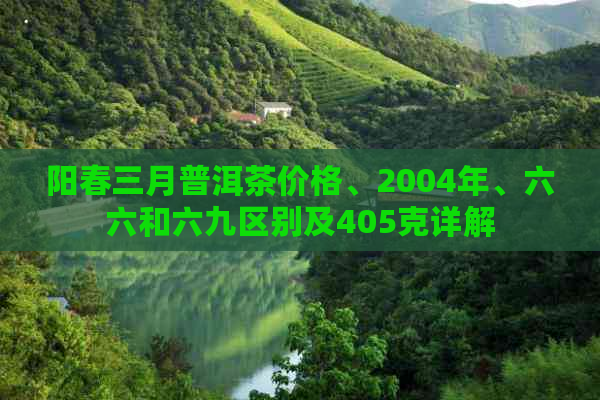 阳春三月普洱茶价格、2004年、六六和六九区别及405克详解