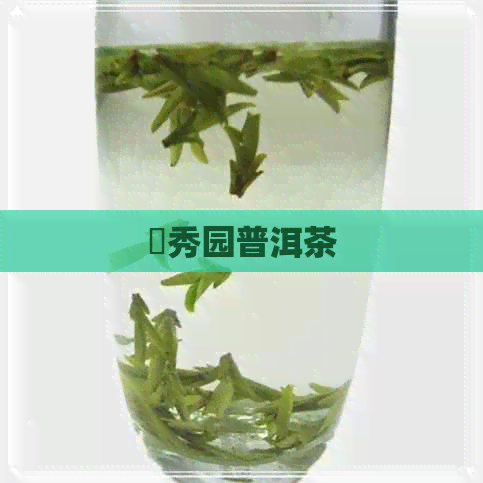 璟秀园普洱茶