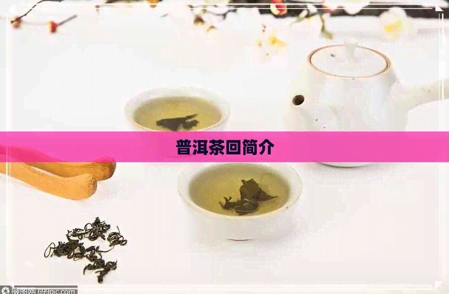 普洱茶回简介