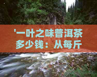 '一叶之味普洱茶多少钱：从每斤、瓶到盒，全面解析'