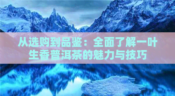 从选购到品鉴：全面了解一叶生香普洱茶的魅力与技巧