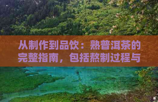 从制作到品饮：熟普洱茶的完整指南，包括熬制过程与技巧