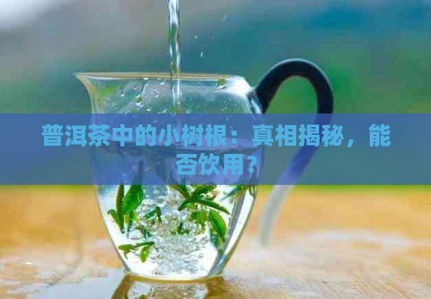 普洱茶中的小树根：真相揭秘，能否饮用？