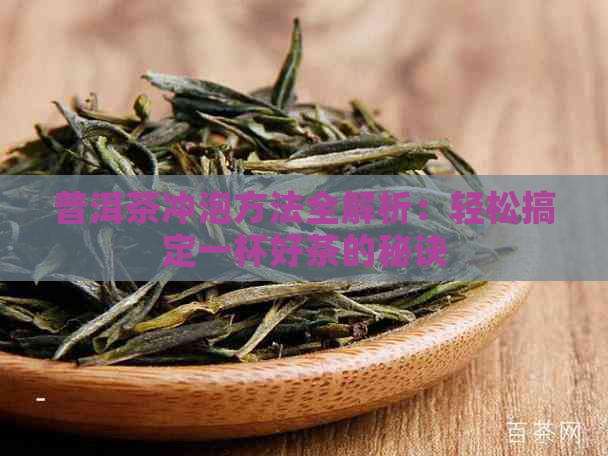 普洱茶冲泡方法全解析：轻松搞定一杯好茶的秘诀