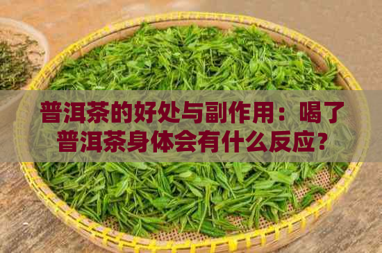 普洱茶的好处与副作用：喝了普洱茶身体会有什么反应？