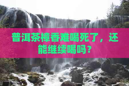 普洱茶樟香难喝死了，还能继续喝吗？