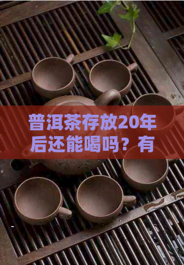 普洱茶存放20年后还能喝吗？有吗？如何正确保存普洱茶以避免品质下降？