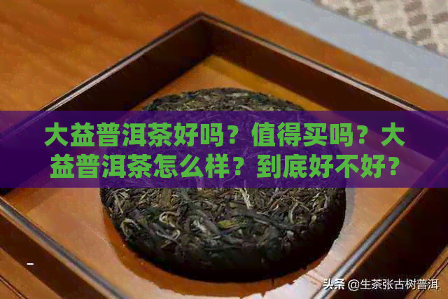 大益普洱茶好吗？值得买吗？大益普洱茶怎么样？到底好不好？