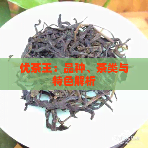 优茶王：品种、茶类与特色解析