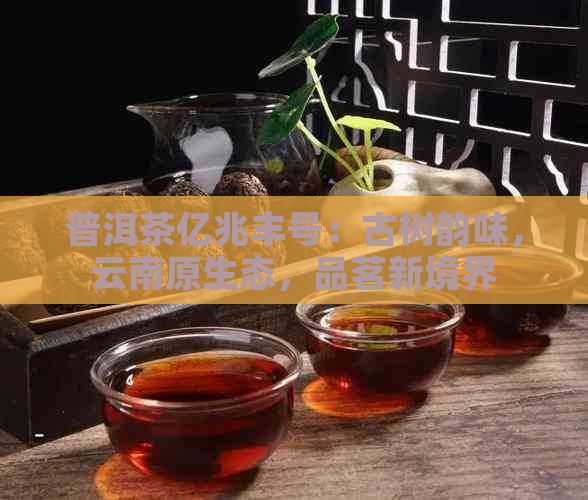 普洱茶亿兆丰号：古树韵味，云南原生态，品茗新境界