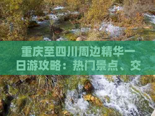 重庆至四川周边精华一日游攻略：热门景点、交通指南及美食推荐