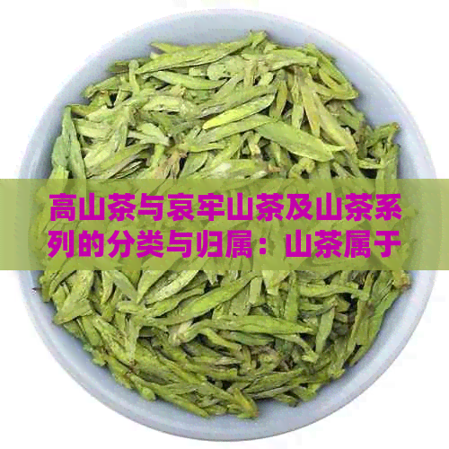 高山茶与哀牢山茶及山茶系列的分类与归属：山茶属于什么茶系？