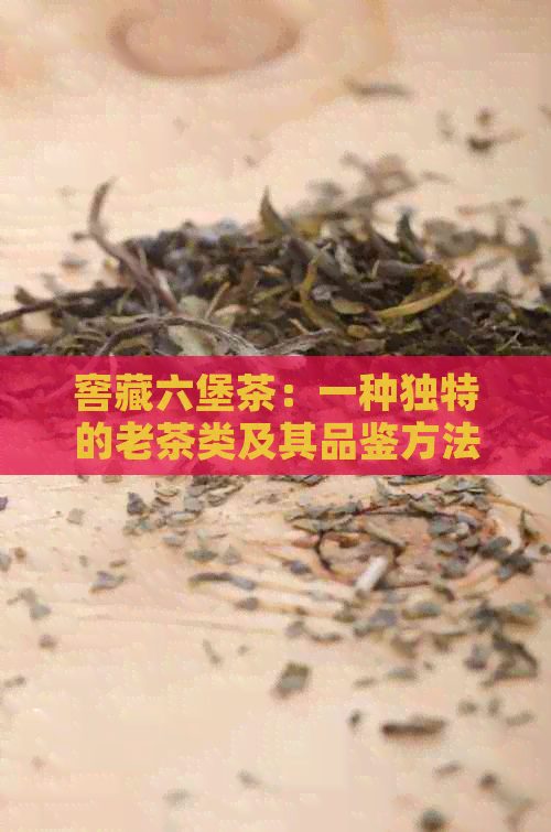 窖藏六堡茶：一种独特的老茶类及其品鉴方法