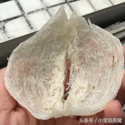 燕窝怎么精修底座