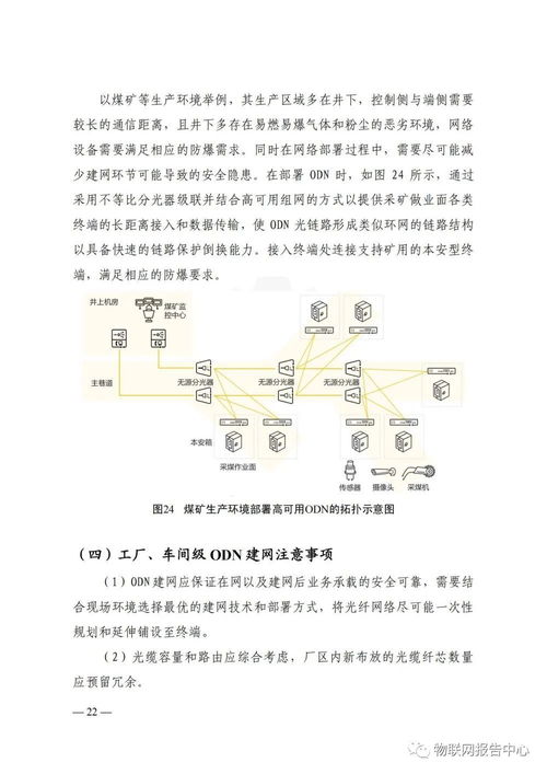 深度解析：燕窝高效破壁加工技术与流程