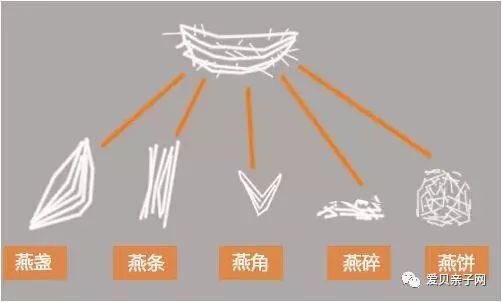 燕窝囊丝碎：深度解析其丰富营养组成与保健功效