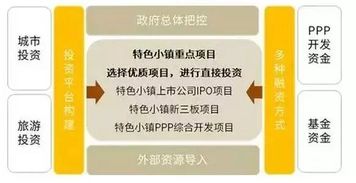 深度解析燕窝干挑工艺：全面了解干挑燕窝的特点、优势与挑选技巧