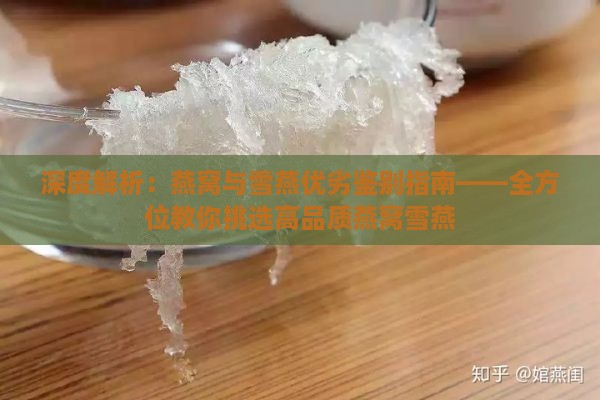 深度解析：燕窝与雪燕优劣鉴别指南——全方位教你挑选高品质燕窝雪燕