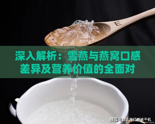 深入解析：雪燕与燕窝口感差异及营养价值的全面对比