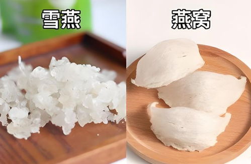 雪燕和燕窝味道一样吗：食用方法及味道对比