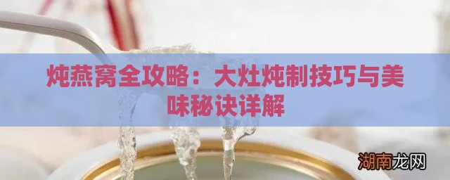 炖燕窝全攻略：大灶炖制技巧与美味秘诀详解