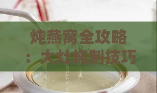 炖燕窝全攻略：大灶炖制技巧与美味秘诀详解