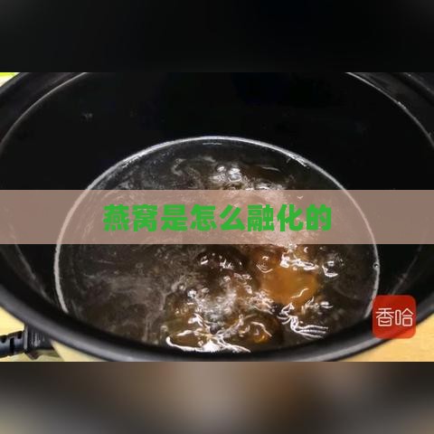 燕窝是怎么融化的