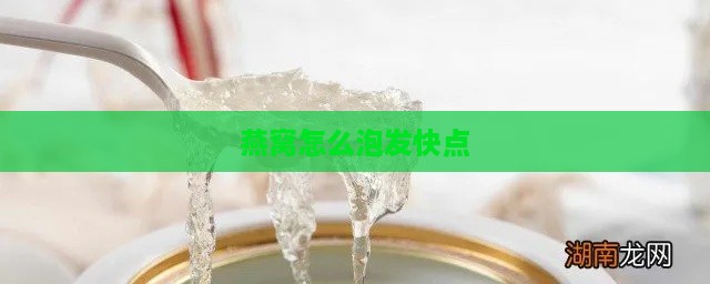 燕窝怎么泡发快点