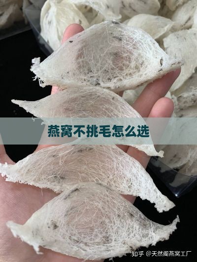 燕窝不挑毛怎么选