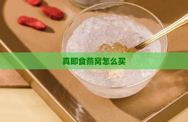 真即食燕窝怎么买