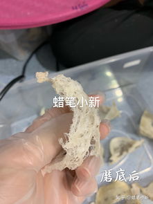 怎么自己挑燕窝毛