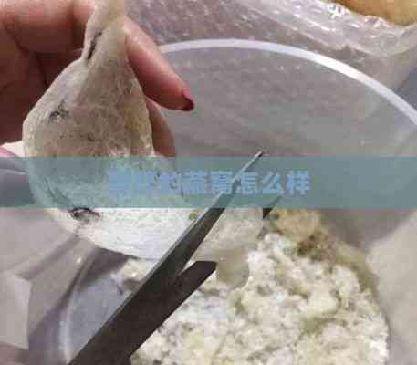 零碎的燕窝怎么样