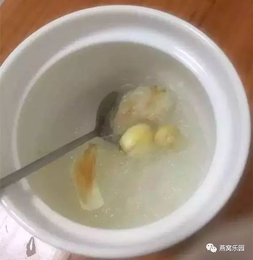 分装瓶燕窝怎么炖