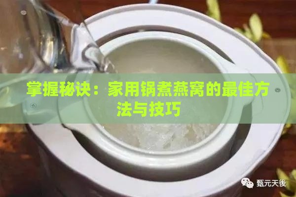 掌握秘诀：家用锅煮燕窝的更佳方法与技巧