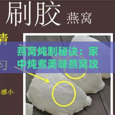 燕窝炖制秘诀：家中炖煮美味燕窝攻略