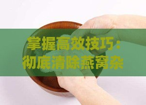 掌握高效技巧：彻底清除燕窝杂质与细毛