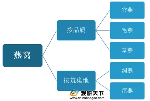 燕窝市场现状解析：为何燕窝销售减少及其背后原因探究