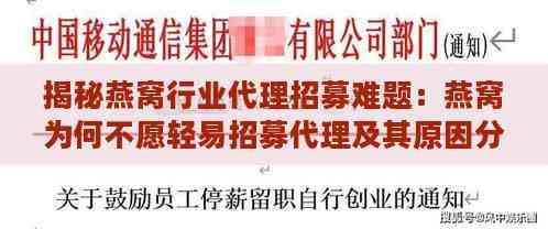 揭秘燕窝行业代理招募难题：燕窝为何不愿轻易招募代理及其原因分析