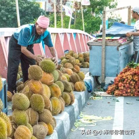 探讨在燕窝产业中面临的限制：燕窝工厂设立难题解析