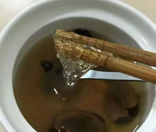 煤火怎么炖燕窝好