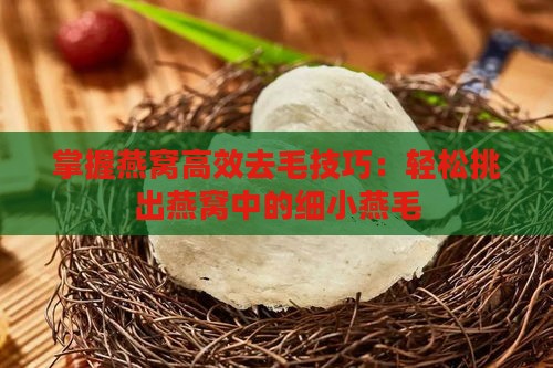 掌握燕窝高效去毛技巧：轻松挑出燕窝中的细小燕毛