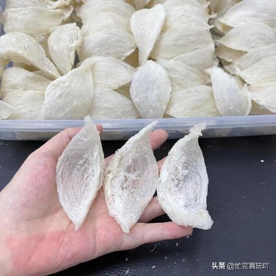 手把手教你利用燕子窝原料制作美味燕窝食谱