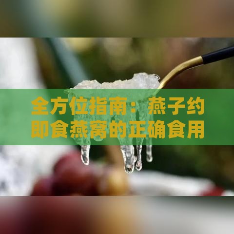 全方位指南：燕子约即食燕窝的正确食用方法与营养效益解析