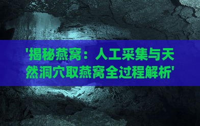 '揭秘燕窝：人工采集与天然洞穴取燕窝全过程解析'